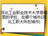 河北工业职业技术大学是哪里的学校，在哪个城市(河北工职大所在城市)