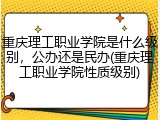 重庆理工职业学院是什么级别，公办还是民办(重庆理工职业学院性质级别)