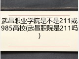 武昌职业学院是不是211或985高校(武昌职院是211吗)