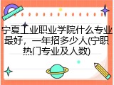 宁夏工业职业学院什么专业最好，一年招多少人(宁职热门专业及人数)