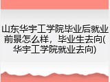 山东华宇工学院毕业后就业前景怎么样，毕业生去向(华宇工学院就业去向)