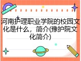 河南护理职业学院的校园文化是什么，简介(豫护院文化简介)