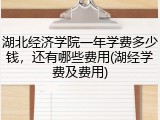 湖北经济学院一年学费多少钱，还有哪些费用(湖经学费及费用)