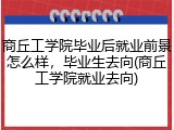 商丘工学院毕业后就业前景怎么样，毕业生去向(商丘工学院就业去向)