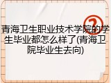 青海卫生职业技术学院的学生毕业都怎么样了(青海卫院毕业生去向)