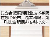 民办合肥滨湖职业技术学院在哪个城市，是本科吗，第几批(合肥民办专科批次)