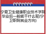 宁夏卫生健康职业技术学院毕业后一般能干什么呢(宁卫职院就业方向)