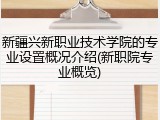 新疆兴新职业技术学院的专业设置概况介绍(新职院专业概览)