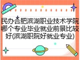 民办合肥滨湖职业技术学院哪个专业毕业就业前景比较好(滨湖职院好就业专业)