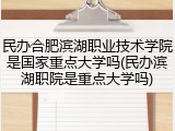 民办合肥滨湖职业技术学院是国家重点大学吗(民办滨湖职院是重点大学吗)
