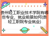 贵州轻工职业技术学院有哪些专业，就业前景如何(贵轻工职院专业就业)