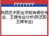 陕西艺术职业学院有哪些专业，王牌专业分析(陕艺职王牌专业)