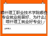 喀什理工职业技术学院哪些专业就业前景好，为什么(喀什理工就业好专业)
