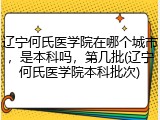 辽宁何氏医学院在哪个城市，是本科吗，第几批(辽宁何氏医学院本科批次)