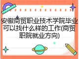 安徽商贸职业技术学院毕业可以找什么样的工作(商贸职院就业方向)