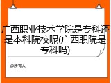 广西职业技术学院是专科还是本科院校呢(广西职院是专科吗)