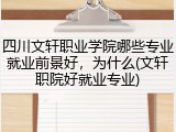 四川文轩职业学院哪些专业就业前景好，为什么(文轩职院好就业专业)