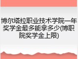 博尔塔拉职业技术学院一年奖学金最多能拿多少(博职院奖学金上限)