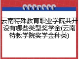 云南特殊教育职业学院共开设有哪些类型奖学金(云南特教学院奖学金种类)