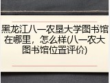 黑龙江八一农垦大学图书馆在哪里，怎么样(八一农大图书馆位置评价)