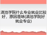 滇池学院什么专业就业比较好，原因是啥(滇池学院好就业专业)