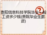 贵阳信息科技学院毕业一般工资多少钱(贵院毕业生薪资)