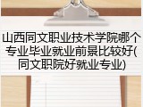 山西同文职业技术学院哪个专业毕业就业前景比较好(同文职院好就业专业)