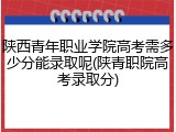 陕西青年职业学院高考需多少分能录取呢(陕青职院高考录取分)