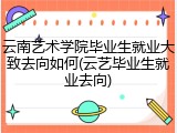 云南艺术学院毕业生就业大致去向如何(云艺毕业生就业去向)