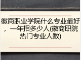 徽商职业学院什么专业最好，一年招多少人(徽商职院热门专业人数)