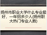 扬州市职业大学什么专业最好，一年招多少人(扬州职大热门专业人数)