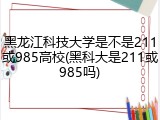 黑龙江科技大学是不是211或985高校(黑科大是211或985吗)