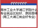 南京工业大学浦江学院什么专业就业比较好，原因是啥(南工大浦江就业好专业)