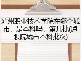 泸州职业技术学院在哪个城市，是本科吗，第几批(泸职院城市本科批次)