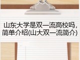 山东大学是双一流高校吗，简单介绍(山大双一流简介)