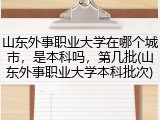 山东外事职业大学在哪个城市，是本科吗，第几批(山东外事职业大学本科批次)