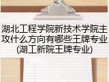 湖北工程学院新技术学院主攻什么方向有哪些王牌专业(湖工新院王牌专业)