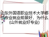 山东外国语职业技术大学哪些专业就业前景好，为什么(山外就业好专业)