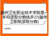 惠州卫生职业技术学院是一本吗录取分数线多少(惠州卫职院录取分数)