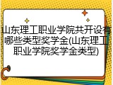 山东理工职业学院共开设有哪些类型奖学金(山东理工职业学院奖学金类型)