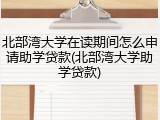 北部湾大学在读期间怎么申请助学贷款(北部湾大学助学贷款)