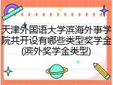 天津外国语大学滨海外事学院共开设有哪些类型奖学金(滨外奖学金类型)