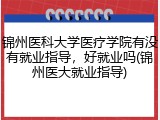 锦州医科大学医疗学院有没有就业指导，好就业吗(锦州医大就业指导)