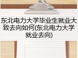 东北电力大学毕业生就业大致去向如何(东北电力大学就业去向)