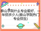 泰山学院什么专业最好，一年招多少人(泰山学院热门专业招生)