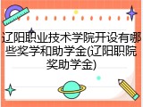 辽阳职业技术学院开设有哪些奖学和助学金(辽阳职院奖助学金)