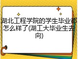 湖北工程学院的学生毕业都怎么样了(湖工大毕业生去向)