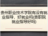 贵州职业技术学院有没有就业指导，好就业吗(贵职院就业指导好吗)
