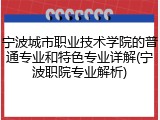 宁波城市职业技术学院的普通专业和特色专业详解(宁波职院专业解析)