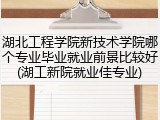 湖北工程学院新技术学院哪个专业毕业就业前景比较好(湖工新院就业佳专业)